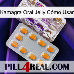 Kamagra Oral Jelly Cómo Usar new12